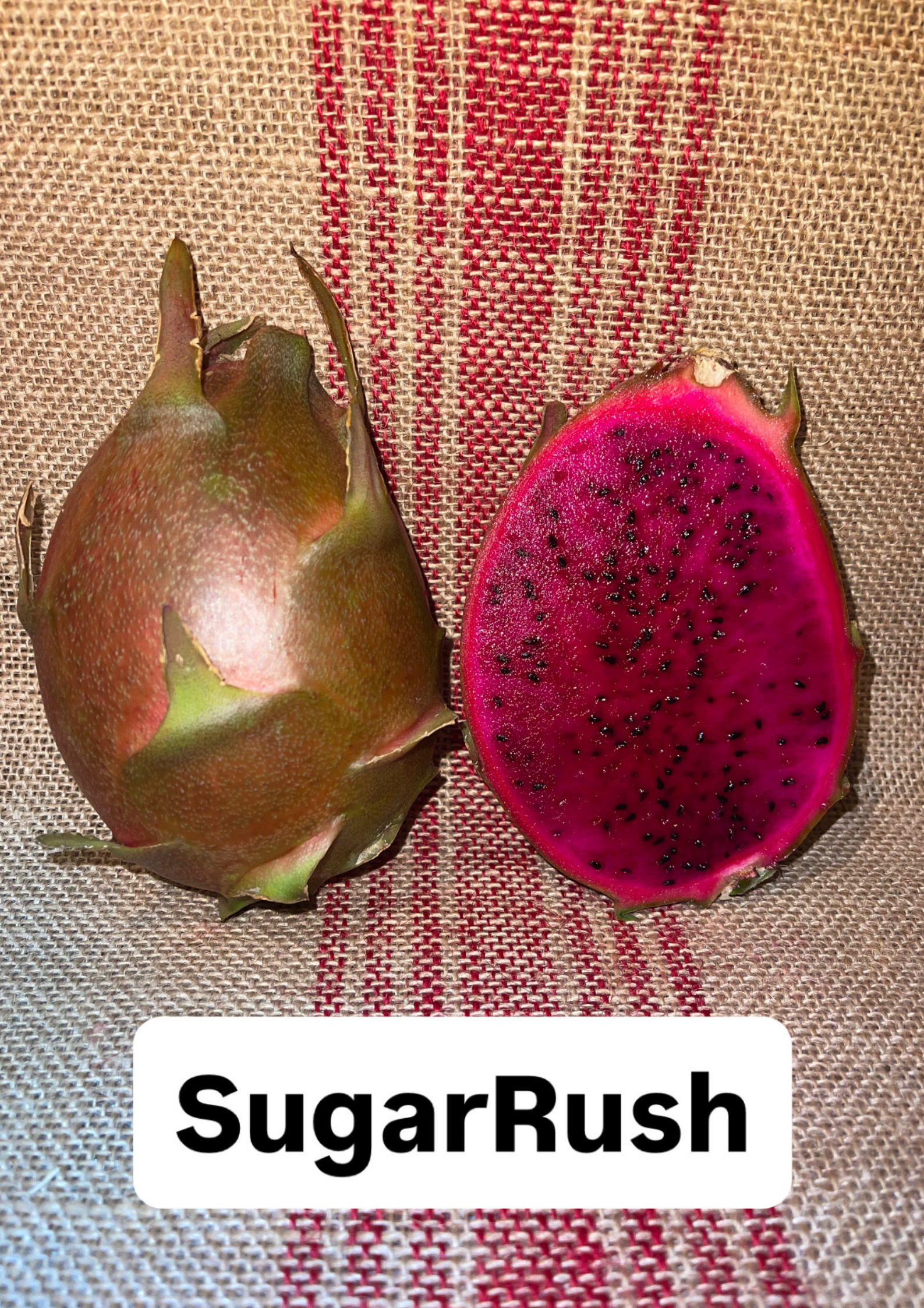 Sugar Rush