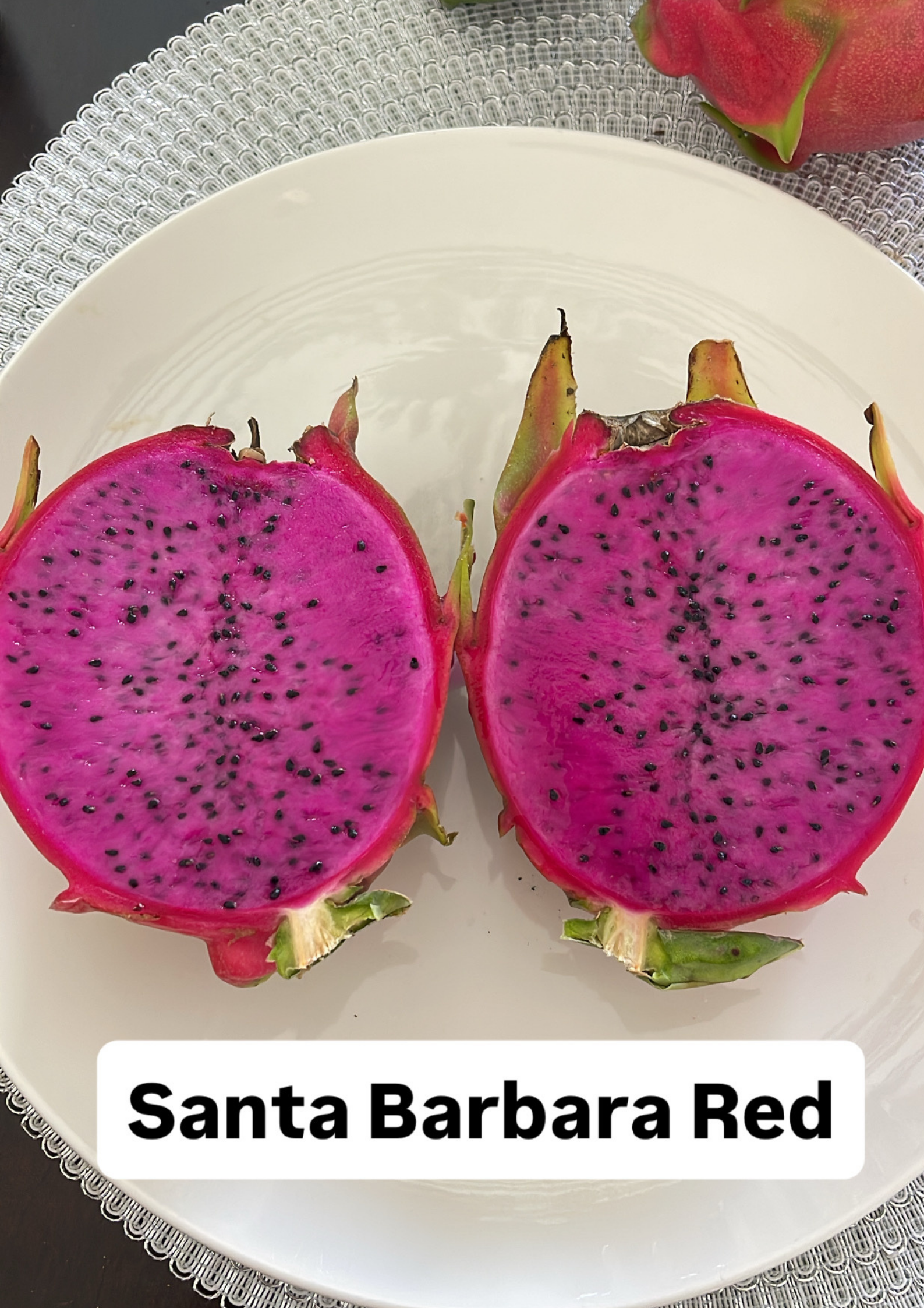 Santa Bárbara Red