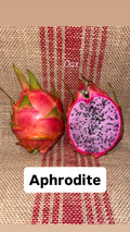 Aphrodite