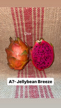 A7 Jellybean Breeze